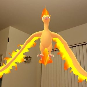 Meet your Posher, Steve